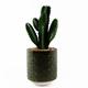 23cm Artificial Cactus with Green Ceramic Planter