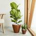 2-Pack Smart Plastic Self-watering Planter Pot for Indoor and Outdoor Decorative Pots Round Cone Dark Brown