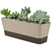 Window Box Planters 12 x3.8 Inch Rectangle Succulent Cactus Plant Pots with Saucer Modern Plastic Flower Container Large Flower Pots for Windowsill Garden Balcony Home Office Decor Beige