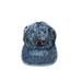 American Eagle Outfitters Accessories | American Eagle One Size Stone Wash Pride Rainbow Baseball Cap Hat | Color: Blue | Size: Os