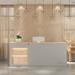 Latitude Run® Ardihannon Reception Desk Wood in Gray | 39.37 H x 86.61 W x 23.62 D in | Wayfair 17DCB1E31317436C8AB505C495D6E422