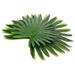 6Pcs Summer Party Palm Fake Leaves Hawaii Style Artificial Tropical Leaf Decors