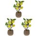 3pcs Artificial Potted Lemon Tree Realistic Lemon Bonsai Artificial Fruit Tree Decor