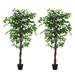 Artificial Ficus Trees 5FT Faux Plants with Silk Leaves Fake Moss and Sturdy Nursery Pot Fake Ficus Tree for Office Home Farmhouse for Indoor Outdoor Decor 1 Pack