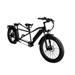 Fat Tire Electric Tandem Bicycle 2 Man Bike for Comfortable Travel