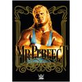 Affiche graphique WWE Mr Perfect - Non encadré A2