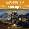 100% original Himalaya Shilajit Kapseln reines Gold 600mg Shilajit für Männer natürliches Mineral