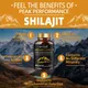 100% original Himalaya Shilajit Kapseln reines Gold 600mg Shilajit für Männer natürliches Mineral