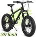 CHAMPIERRE 20 Mountain Bike for Boys Girls Ages 8 to 12 7 Speed Kids Bicycles with 4 inch Fat Tire Black