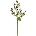 Silk Plant Nearly Natural 17 Italian Coffee Bean Artificial Flower (Set of 8)