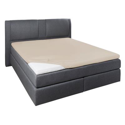 Spannbettlaken PRIMERA "Elasthan-Feinjersey Topper", beige (düne), B:140-160cm L:200-220cm, Jersey-Elasthan, Obermaterial: 95% Baumwolle, 5% Elasthan, Laken, Aus 95% gekämmter Baumwolle und 5% Elastan Image