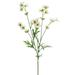 Northlight Seasonal 27.5" Cream Baby Cosmos Artificial Decorative Floral Spray Plastic in Green | 27.5 H x 4 W x 4 D in | Wayfair