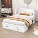 Red Barrel Studio® Bainter Wood Murphy Bed w/ USB Port & A Drawer Wood in White/Black | 38 H x 56 W x 81 D in | Wayfair