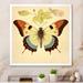 August Grove® Vintage Illustration Of Elegant Butterfly I Canvas, Cotton | 30 H x 30 W x 1 D in | Wayfair 8B0C12BB125246FB859AC8FA86155335