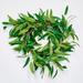 20" Olive Wreath - 20