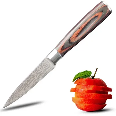 Couteau de chef de cuisine en acier inoxydable couteau à fruits motif laser Damas manche en bois