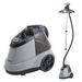 True & Tidy Pro Commercial Heavy Duty Garment Steamer w/ Extra Large 2.9L Water Tank in Gray | Wayfair X5 Gray