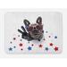 East Urban Home Bulldog Plush Bath Mat, Top View Funny Dog Posing, 30.2"x20", Dimgray Ruby Blue, Polyester | Wayfair