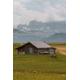 House on the Grass - 6000 Piece Wooden Jigsaw Puzzle - Floor Jigsaw Puzzle Fun Game or Jigsaw Puzzle