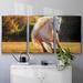 Latitude Run® Horse Motion IV - 3 Piece Floater Frame Print on Canvas in White | 36 H x 75 W x 2 D in | Wayfair 2A5754B2FF8B4ACE9A3819CE997C8B7A