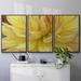 Latitude Run® Blooms I - Multi Piece Framed Canvas in White | 36 H x 75 W x 2 D in | Wayfair A7ECF4252B00407D95E3513FEEA8E54B