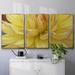 Latitude Run® Blooms I - Multi Piece Framed Canvas in White | 36 H x 75 W x 2 D in | Wayfair 2B636805651541ABBFC806B2A4C73F29