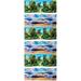 3pcs Aquarium Background Paper Double-sided Aquarium Background Picture Fish Tank Decor