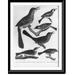 Historic Framed Print [Composite of 6 birds: 1. brown thrush; 2. golden crowned thrush; 3. cat bird; 4. bay-breasted warbler; 5. chestnut sided warbler; 6. mourning warbler] 17-7/8 x 21-7/8