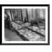 Historic Framed Print Thlinget Packing Co. trap no. 7 Aug. 2 1907: One of two scow-loads of 18 000 [salmon] each caught in trap 17-7/8 x 21-7/8