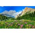 GUOHLOZ Jigsaw Puzzles 1500 pieces for Adults and Children, 10 Years old and up, Trees, Mountains, Rocks, 87x57cm