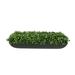 Creative Displays, Inc. Nature's Nostalgia Organic Modern Box in Fiberstone Oval Planter Fiberstone/Polysilk in Black | 6 H x 21 W x 10 D in | Wayfair