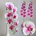 Hxoliqit Water Velvet Phalaenopsis High Simulation Chinese Phalaenopsis Wedding Flower Art Home Furnishing Hotel Decoration Artificial Flowers 2pc Artificial Flower(Purple) for Home Decor