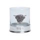 Highland Cow Emblem Whisky Drinking Glass - MADE IN SCOTLAND - Whisky Tumbler - Whisky Glass - Gifts for Him - Whisky Collector's