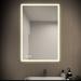 Brayden Studio® Daliyah LED Mirror for Bathroom, Lighted, Anti Fog Led Vanity Mirror, Shatterproof, Copper | 30 H x 22 W x 1.1 D in | Wayfair