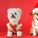 TOOYFUL Chinese New Year Dog Costume Dog Tang Costume Pet Costume Dog Knot Buttons Coat for Cats Holiday Chinese New Year Celebration L