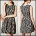 Anthropologie Dresses | Euc Anthropologie Hd In Paris Violante Lace Dress | Color: Black/Cream | Size: S
