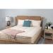 Full 13" Mattress - Naturepedic Concerto Organic Pillow Top | 75 H x 53 W 13 D in Wayfair MF64-PP