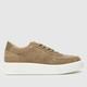 Steve Madden flynn trainers in taupe