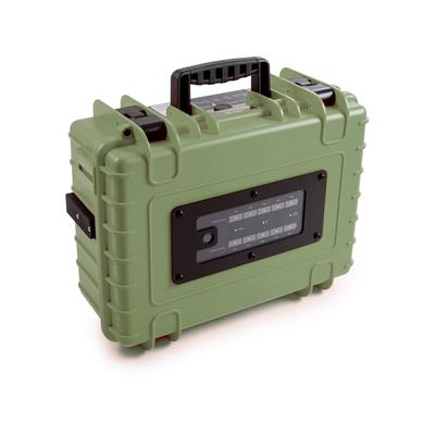 B&W International Pro500 Energy.Case 500 Watt Bronze/Green 108294