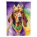 Caroline's Treasures Double Sided 28" H x 40" W Polyester Mardi Gras House Flag | 28 H x 40 W in | Wayfair DAC4867CHF