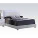 White PU Upholstered Queen Bed with LED Headboard, Chrome Legs- Contemporary Style, Box Spring Required