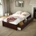 Twin Platform Storage Bed Frame With Drawers For Modern & Vintage House