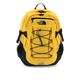 The North Face Borealis Classic Backpack Men