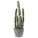 Silk Plant Nearly Natural Decorative Cactus Garden w/Cement Planter