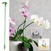 Taylongift Christmas Valentine s Day Phalaenopsis Succulent Special Flower Stand Bracket Plant Potted Flower Shape Support Rod Fixed Anti-lodging Leaf Guard