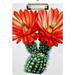 Coolnut Cactus Cacti Succulents Red Flower Clipboards for Kids Student Women Men Letter Size Plastic Low Profile Clip 9 x 12.5 in Sliver Clip