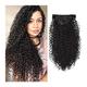 Hair Extensions 7pieces Kinky Curly Clip In Hair Extension Full Head - Double Weft Full Head Heat Resistance Synthetic Hair Extension Fake Hair Pieces for Women, 24" Hair Pieces (Color : 2, Size : 2