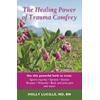 The Healing Power of Trauma Comfrey Soothe Injuries Wounds Back Joint and Muscle Pain Naturallyain