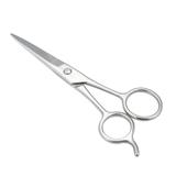 Dazzduo Cleaning Tools Shears Hair Eyebrow Scissor Scissor Shears Stainless Steel Steel Scissor Scissor Hair Stainless Steel Scissor Hair Eyebrow Scissor Scissors Scissor Scissor Shears Hair