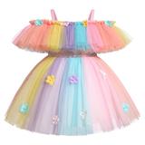 IBTOM CASTLE Toddler Baby Girls Birthday Party Dress Butterfly Embroidery Princess Tulle Tutu Wedding Pageant Evening Prom Ball Gown 12-18 Months Rainbow Flower